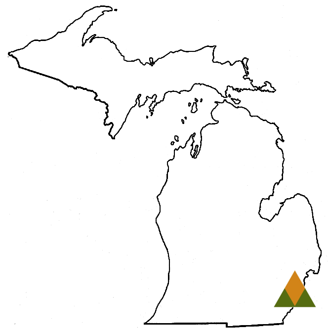 third party administrator Detroit